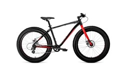 FORWARD	2019-2020	BIZON 26